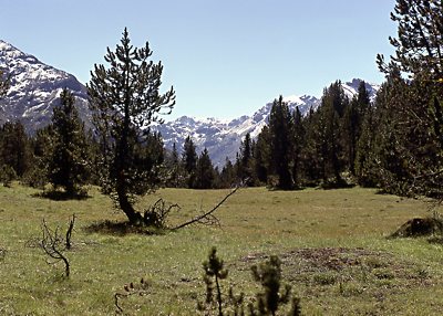 Die Jahreszeiten - Sommer und Winter